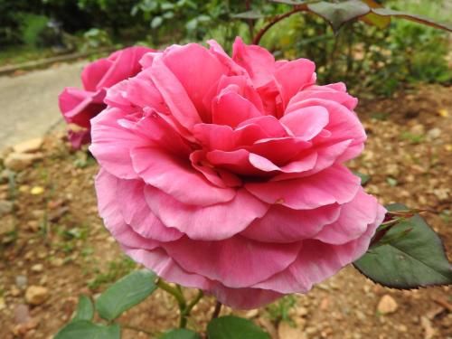 Outdoor Pictures 23