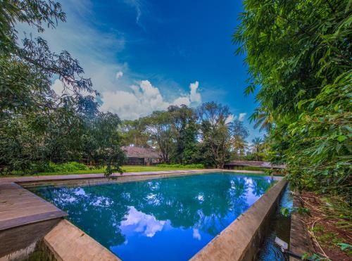 Orchard Resort Navage