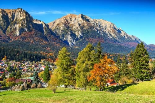 Outdoor Pictures 21