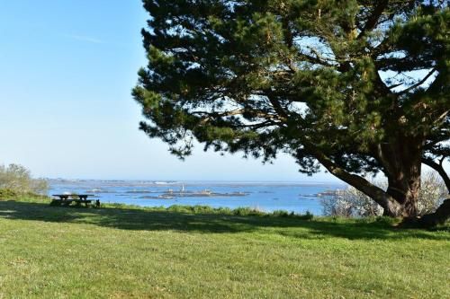 Outdoor Pictures 15