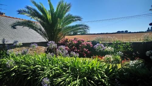 Outdoor Pictures 17