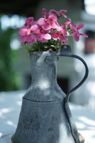 Outdoor Pictures 15