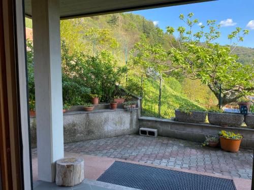 Outdoor Pictures 7