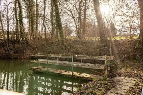 Outdoor Pictures 24