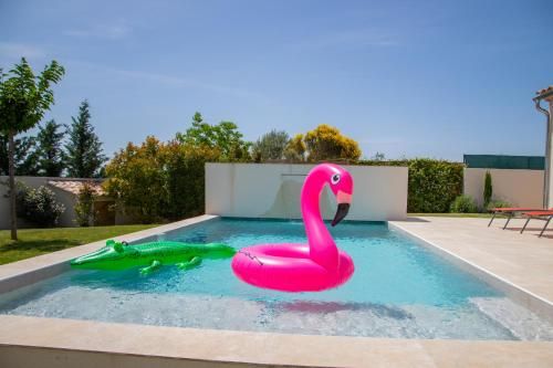 Outdoor Pictures 9
