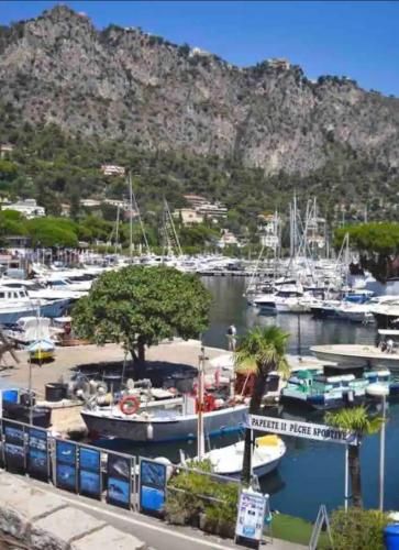 Studio climatisé à proximité des plages et des commerces