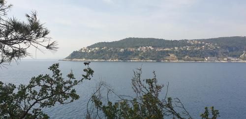 Studio climatisé à proximité des plages et des commerces