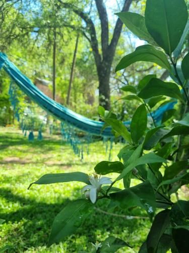 Outdoor Pictures 7