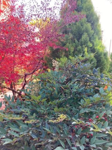 Outdoor Pictures 7
