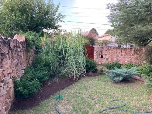 Outdoor Pictures 11