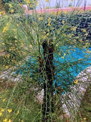 Outdoor Pictures 15