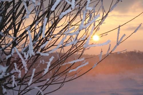 Outdoor Pictures 24