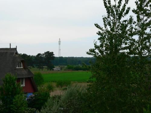 Outdoor Pictures 4