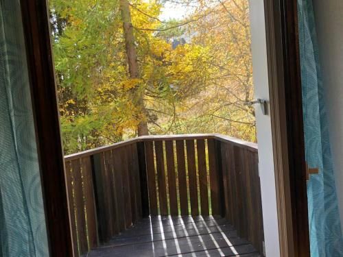 Outdoor Pictures 6