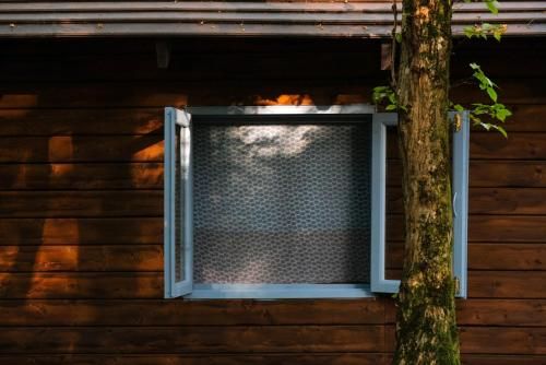 Outdoor Pictures 13