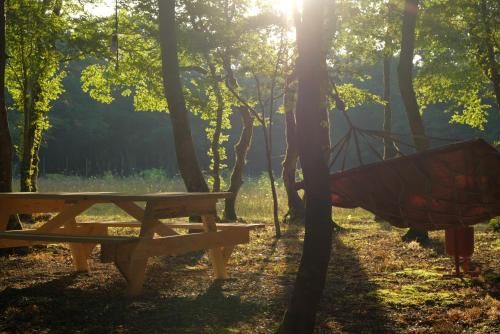 Outdoor Pictures 15