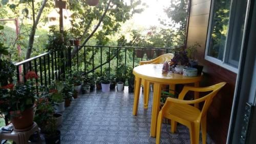 Outdoor Pictures 7
