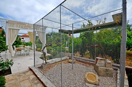 Outdoor Pictures 21