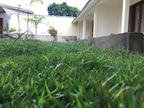 Outdoor Pictures 12
