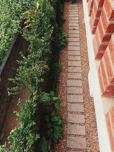 Outdoor Pictures 15