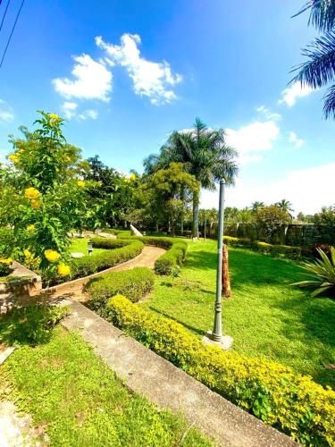 Outdoor Pictures 7