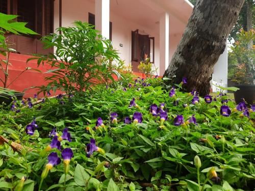 Outdoor Pictures 9