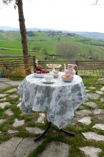 Outdoor Pictures 8