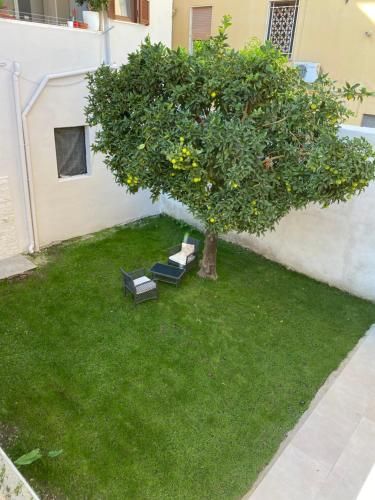Outdoor Pictures 24