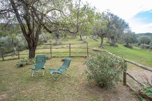 Outdoor Pictures 16