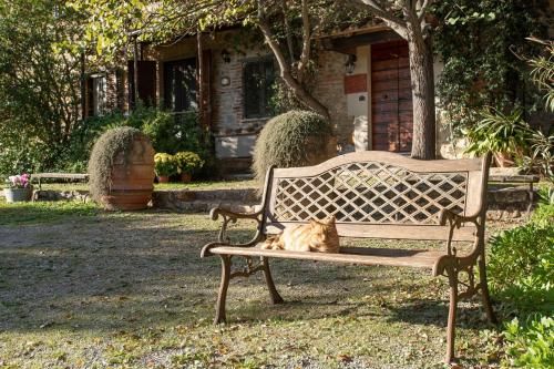 Outdoor Pictures 14