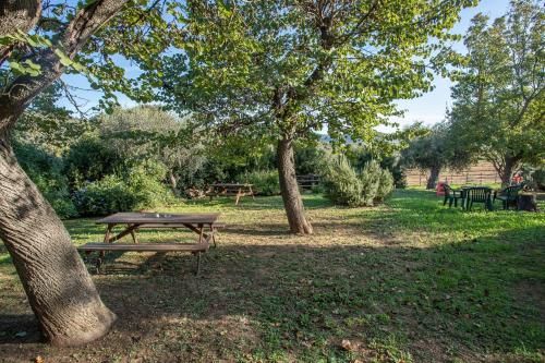 Outdoor Pictures 15