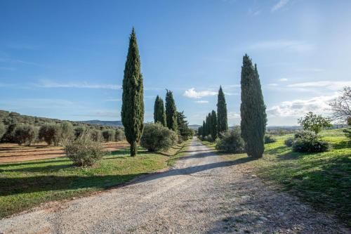 Outdoor Pictures 23