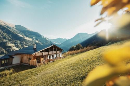 Outdoor Pictures 7