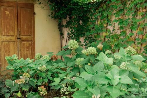 Outdoor Pictures 18