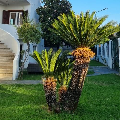 Outdoor Pictures 1