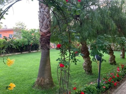 Outdoor Pictures 11