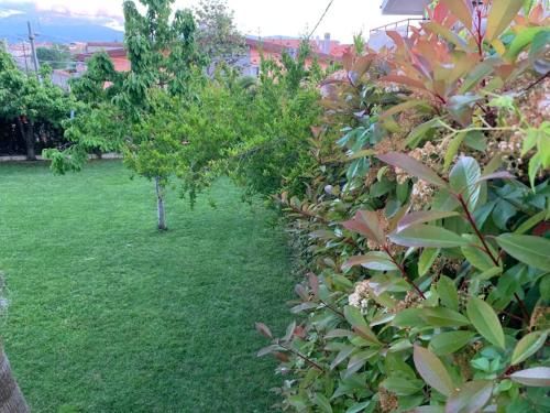 Outdoor Pictures 19
