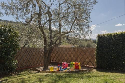 Outdoor Pictures 10