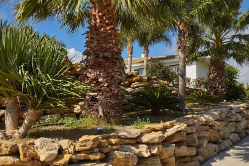 Outdoor Pictures 7