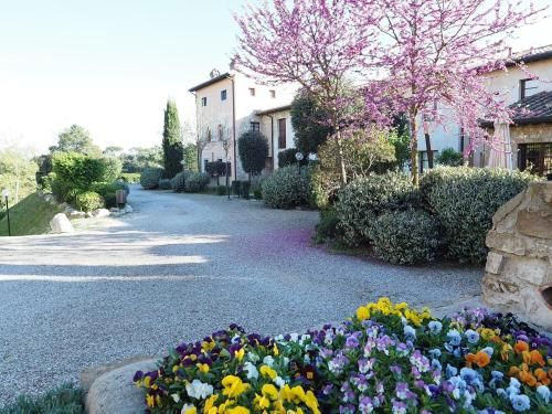Outdoor Pictures 7