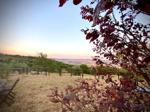 Outdoor Pictures 7