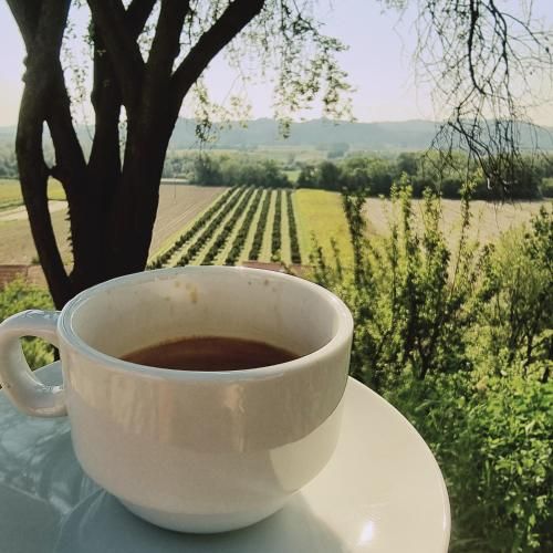 Outdoor Pictures 5