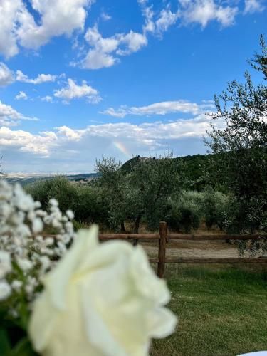Outdoor Pictures 9