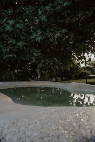 Outdoor Pictures 22