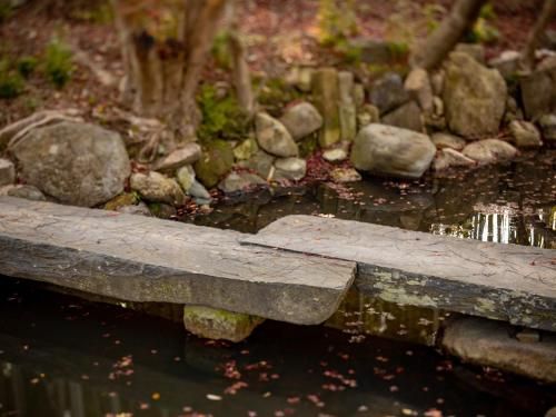 Outdoor Pictures 10