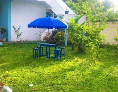 Outdoor Pictures 7