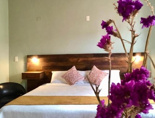 Arte Sano Vegan Hotel & Spa San Cristobal