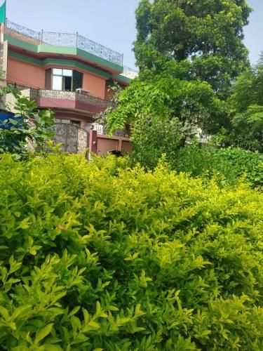 Outdoor Pictures 7