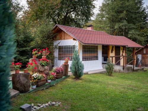 Outdoor Pictures 21
