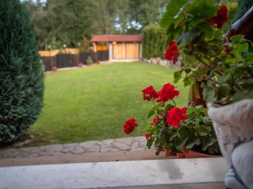 Outdoor Pictures 23